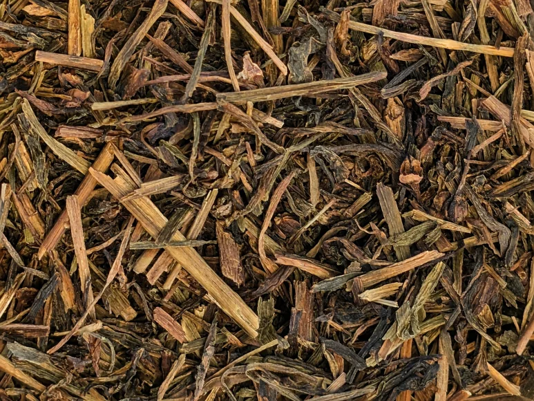 Jamboo (Faran) de l'Uttarakhand