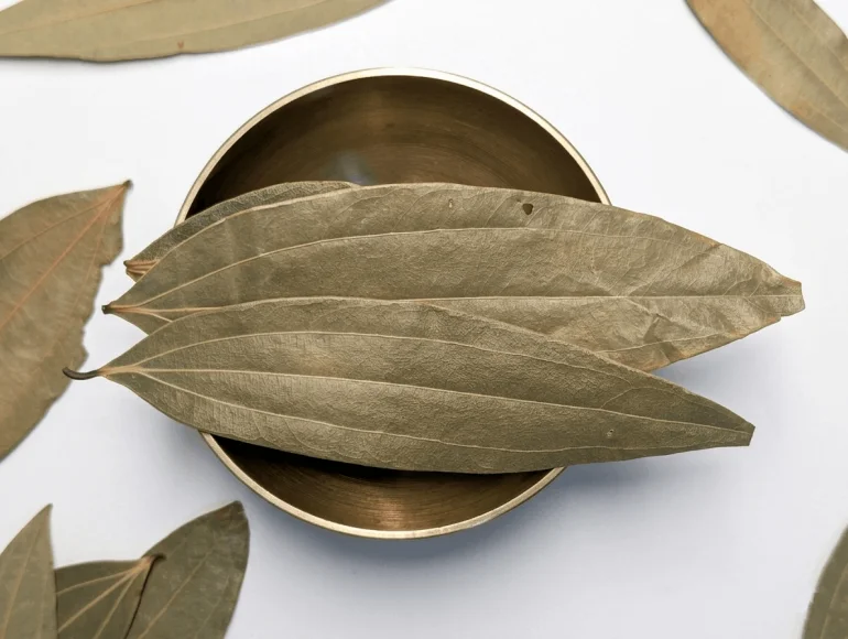 Feuilles de laurier indien (Tej Patta)