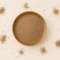 Graines d'ajwain du Rajasthan