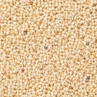 Khus Khus – Graines de pavot blanc d'Inde