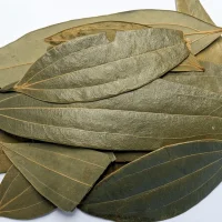 Feuilles de laurier indien (Tej Patta)