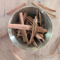 Cannelle du Kerala