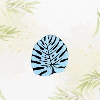 Monstera détaillée