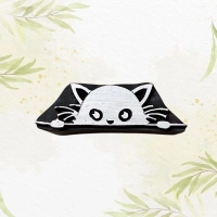 Cache cache avec le chat