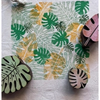 Monstera détaillée