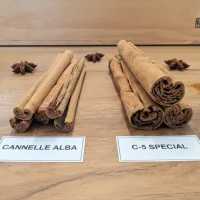 Cannelle de Ceylan Alba