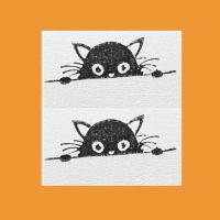 Cache cache avec le chat