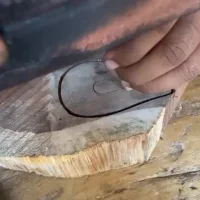 Papaye bicolore