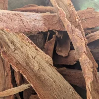 Cannelle du Kerala