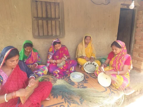 Artisanes indiennes tissant des paniers avec des fibres sauvages