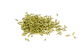 Fenouil