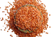 lentilles corail