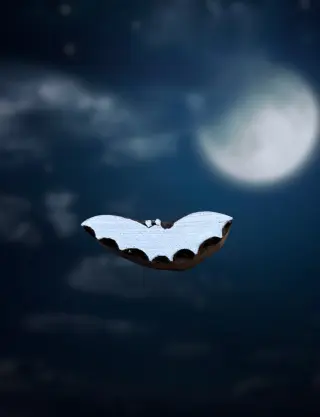 Produit Chauve-souris Image