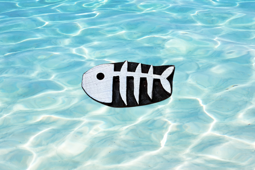 Le poisson