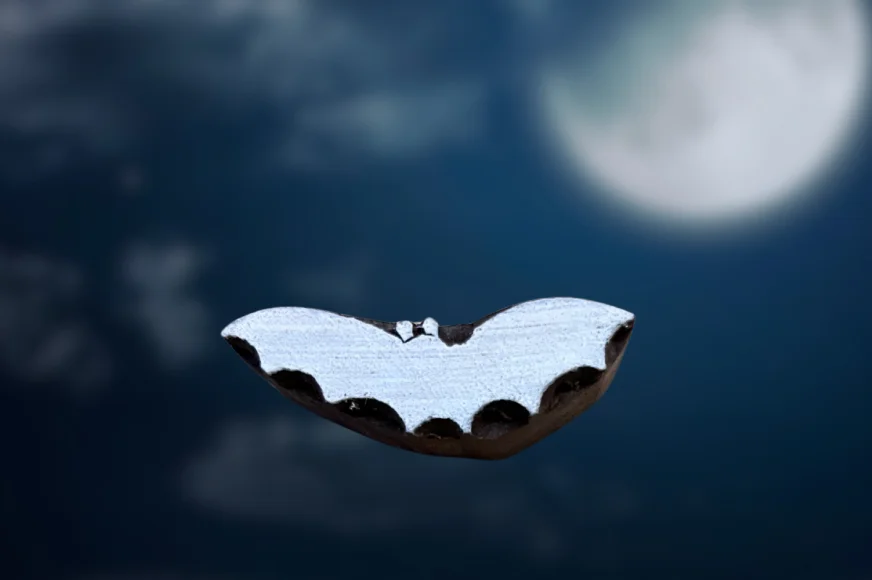 Chauve-souris