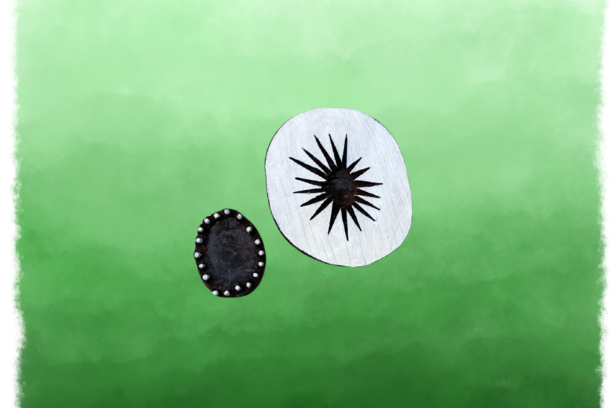 Fruit de kiwi