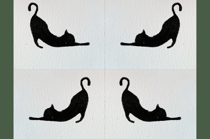 Chat qui s'etire