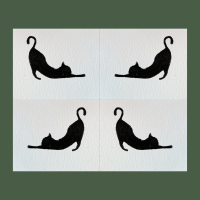Chat qui s'etire