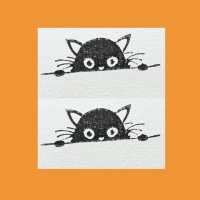 Cache cache avec le chat