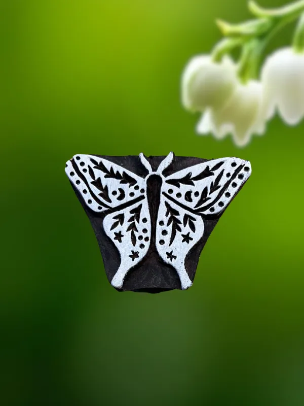 Farfalla dettagliata