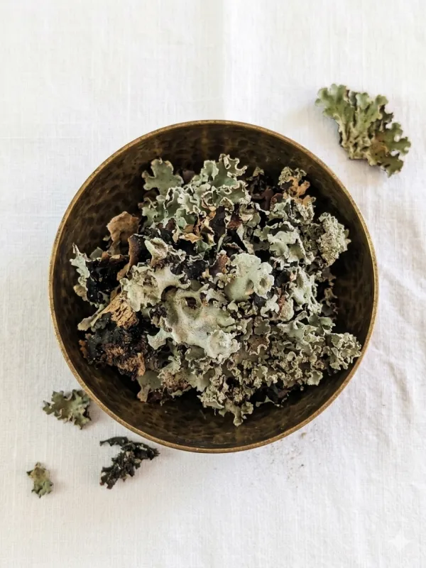 Fiore di pietra (Dagad Phool)