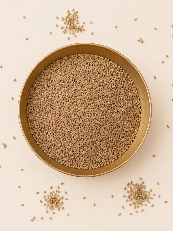 Graines d'ajwain du Rajasthan
