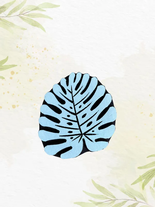 Monstera détaillée