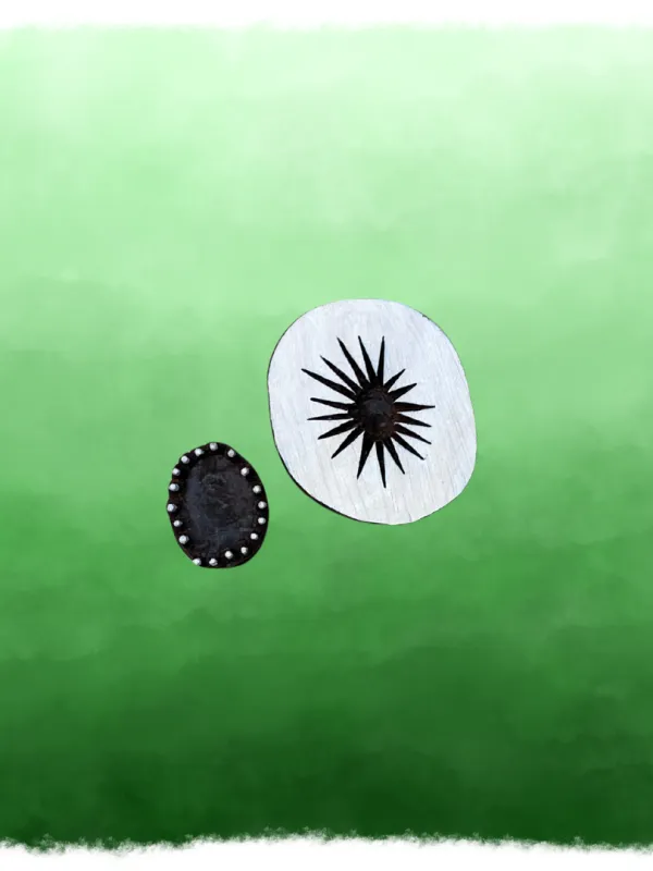 Fruit de kiwi