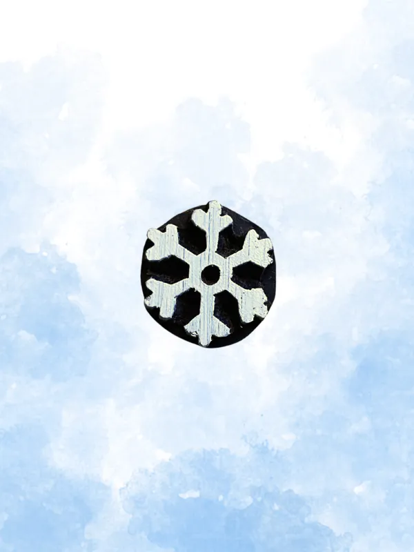 Piccolo fiocco di neve